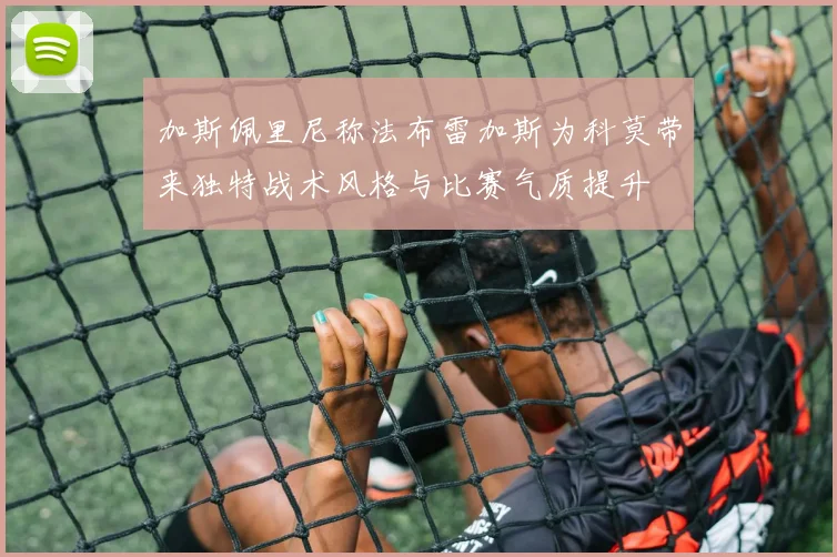 加斯佩里尼称法布雷加斯为科莫带来独特战术风格与比赛气质提升