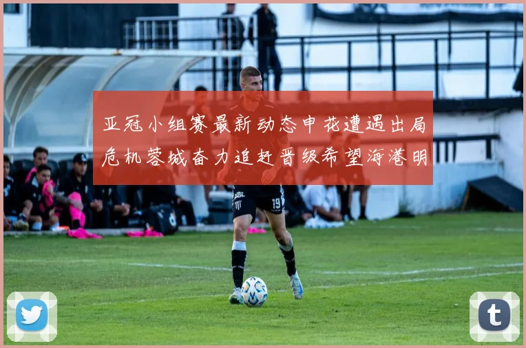 亚冠小组赛最新动态申花遭遇出局危机蓉城奋力追赶晋级希望海港明日迎战挑战