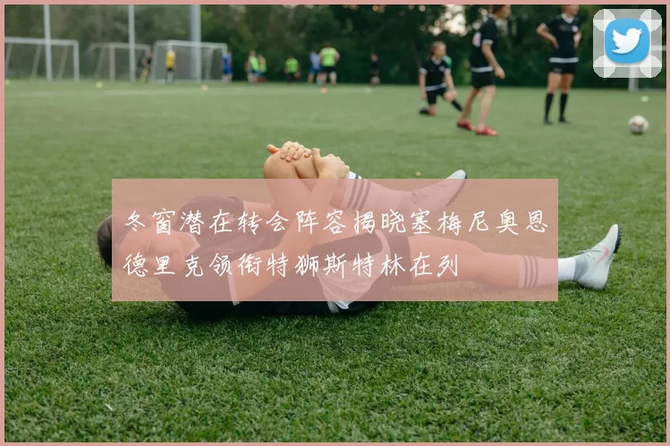 冬窗潜在转会阵容揭晓塞梅尼奥恩德里克领衔特狮斯特林在列