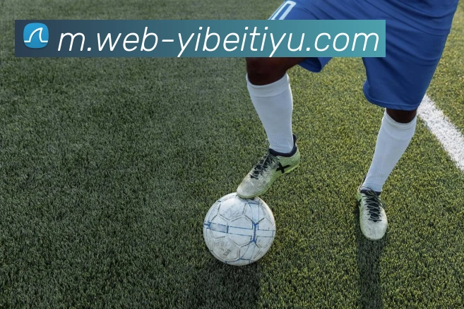 易倍体育发展历程